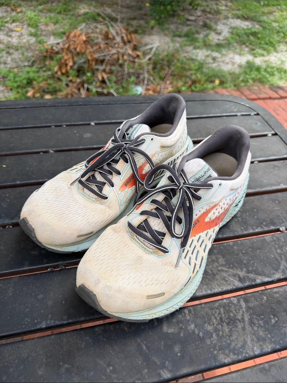 Brooks Adrenaline Running Shoes